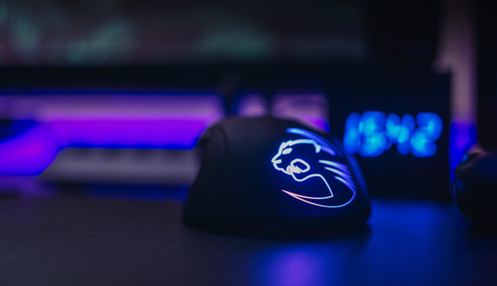 Foto de FOX en Pexels